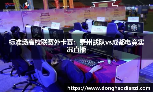标准场高校联赛外卡赛：泰州战队vs成都电竞实况直播